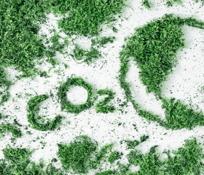 CARBON EMISSION MANAGEMENT